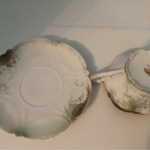 RS Prussia Red Mark Porcelain White Flower Gold Trim Cup & Saucer 1900-1919 - Picture 4 of 6